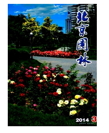 園林工程師晉級條件有哪些