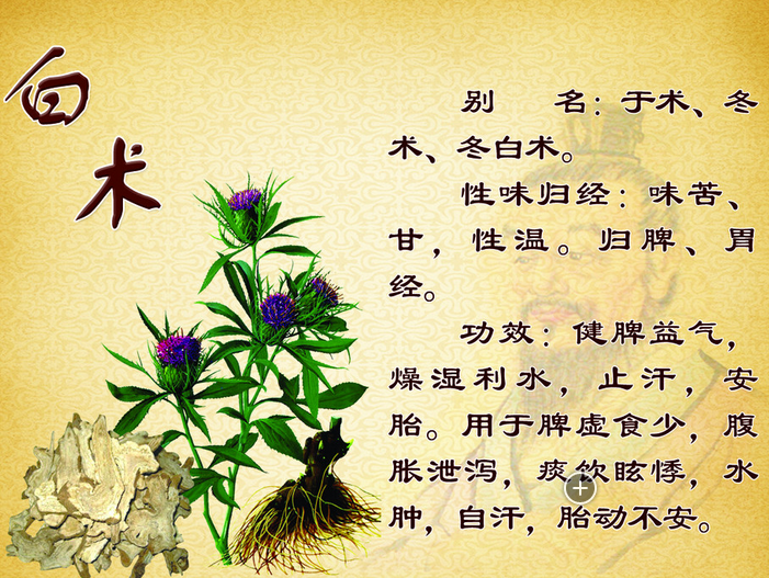 中藥論文刊發(fā)格式