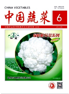 甘藍種植栽培新技術應用戰略