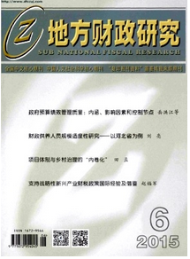 地方預算管理財政新應用技巧