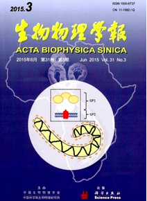 生物物理學報發表論文時間