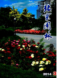 桂花園林中新應用技巧