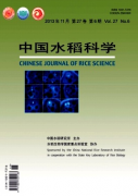 水稻科學種植管理新技術應用