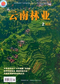 林業科技新戰略方針技巧