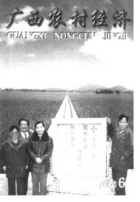 廣西農村經濟論文創作事項有哪些呢