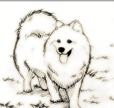 素描教學管理的新思想模式