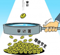 審計(jì)師論文論企業(yè)單位的審計(jì)管理新應(yīng)用模式有何意義