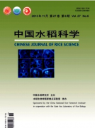 土壤性質(zhì)對(duì)水稻種植有何影響