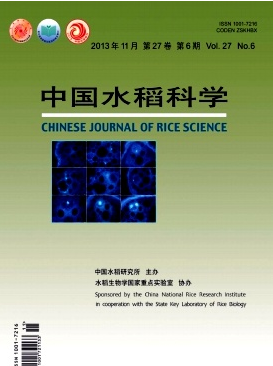 土壤性質對水稻種植有何影響