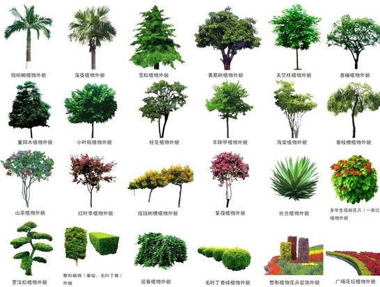 礦區(qū)中綠化發(fā)展的林業(yè)科技制度