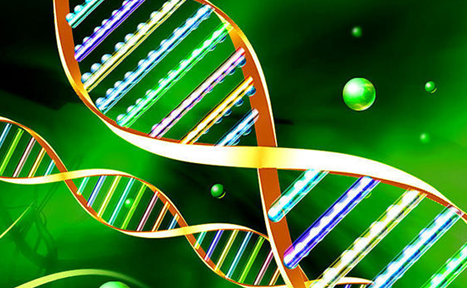 生物教學管理新應用技巧