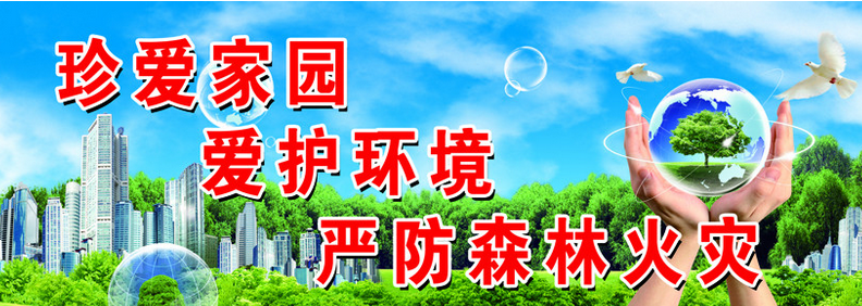 林業(yè)管理論文發(fā)表格式