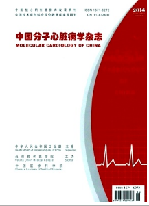 中國分子心臟病學雜志投稿