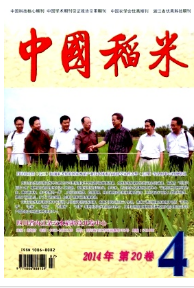 中國稻米征稿