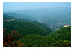 生態(tài)科技管理論文談森林生態(tài)科技管理的發(fā)展模式