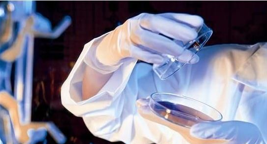 生物醫學應用論文格式
