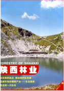 縣區林業新科技發展戰略
