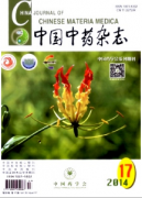 中藥鑒別新方法應用制度