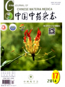 五子雙母丸治療新技巧發展措施