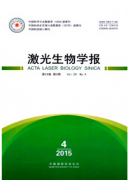 生物學(xué)中信息科技新發(fā)展應(yīng)用措施
