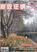 稅務(wù)風(fēng)險新管理上建設(shè)技巧