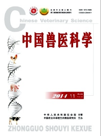 中國獸醫科學論文發表格式參考