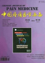 中國疼痛醫(yī)學雜志征稿