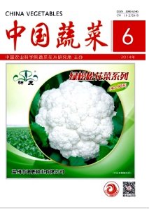 蔬菜栽培新技巧應(yīng)用管理