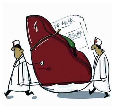 探究當前脂肪肝產生的原因及治療措施
