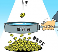 如何建設(shè)完善的農(nóng)村審計制度