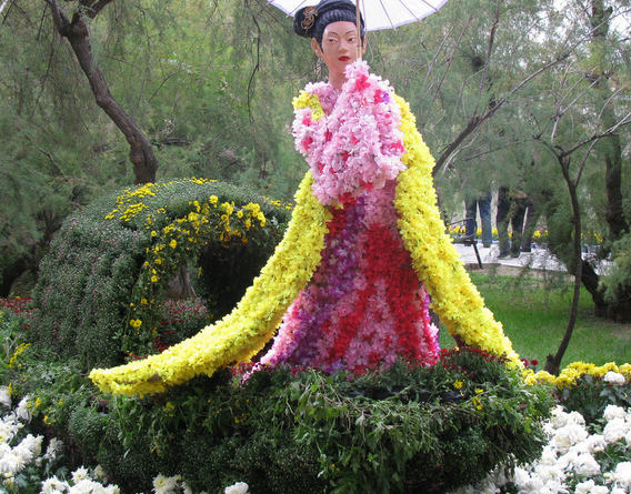 菊花園藝建設(shè)管理應(yīng)用