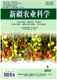 新疆農(nóng)業(yè)技師論文哪里投稿好