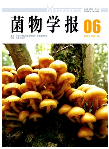 菌物學報投稿論文目錄