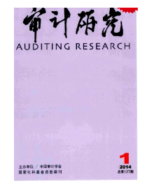 審計(jì)新應(yīng)用管理?xiàng)l例制度發(fā)展