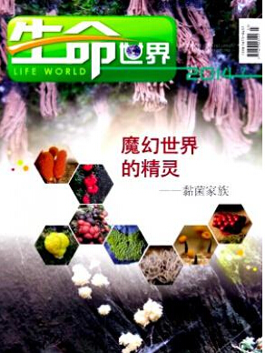 生命世界