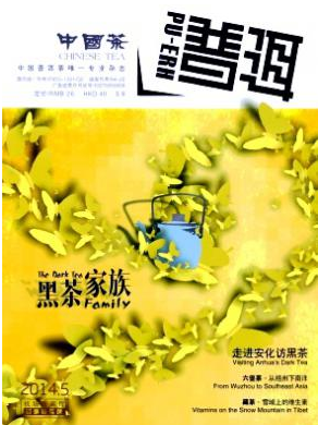 普洱