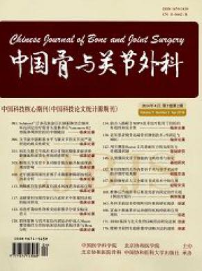 中國骨與關節外科