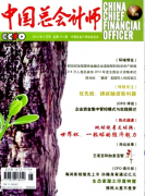 會計師論文范文會計信息化財會流程完善措施