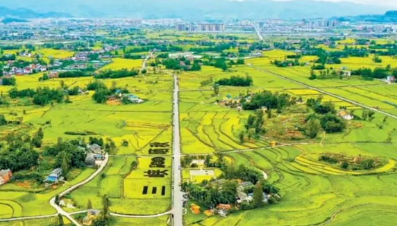 成渝現代高效特色農業帶建設的成都路徑研究