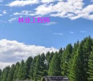 申報(bào)2023年林業(yè)副高級(jí)職稱(chēng)有出書(shū)和專(zhuān)利要求嗎