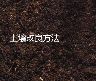 土壤改良方法能不能申請發明專利