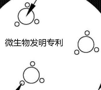 微生物發(fā)明專利如何申請