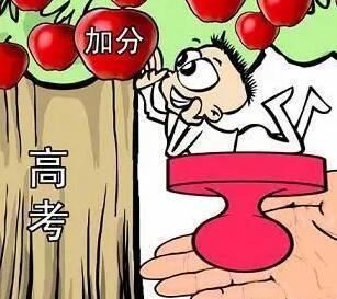 中高考加分項(xiàng)目有哪些