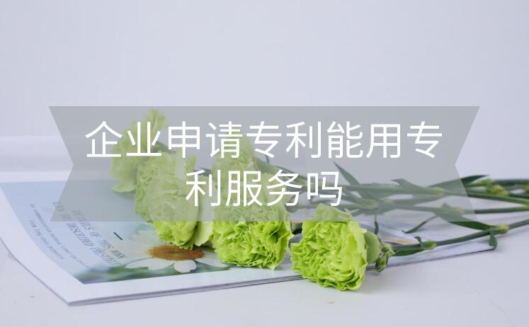 企業(yè)申請(qǐng)專利能用專利服務(wù)嗎