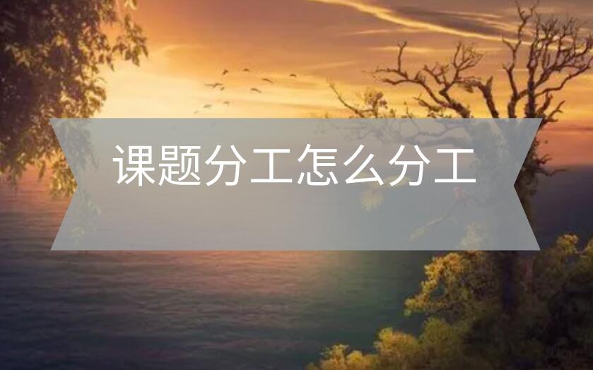 課題分工怎么分工