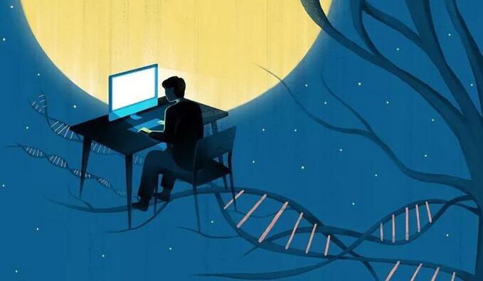 Nature確認熬夜會損傷大腦，睡眠可幫助大腦“重置”