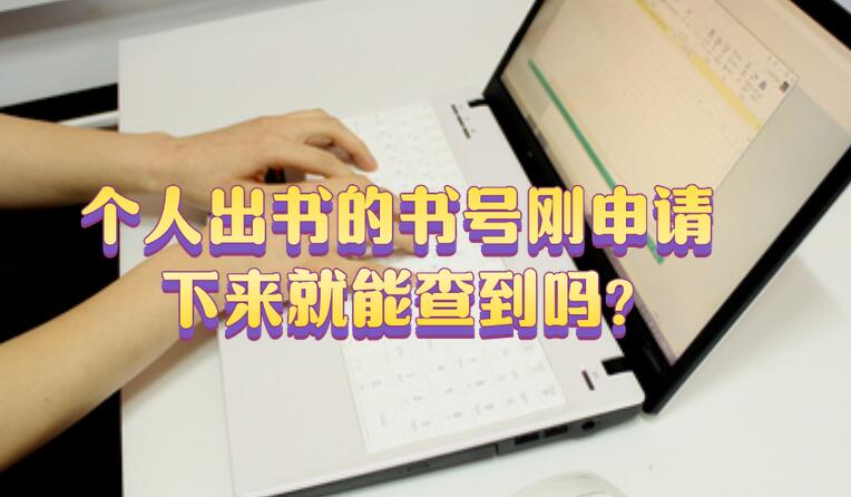 個(gè)人出書的書號(hào)剛申請(qǐng)下來(lái)就能查到嗎?