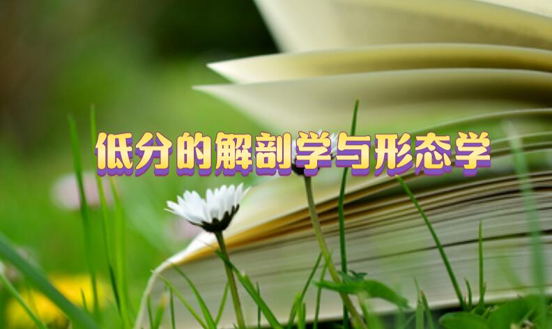 低分解剖學(xué)sci期刊