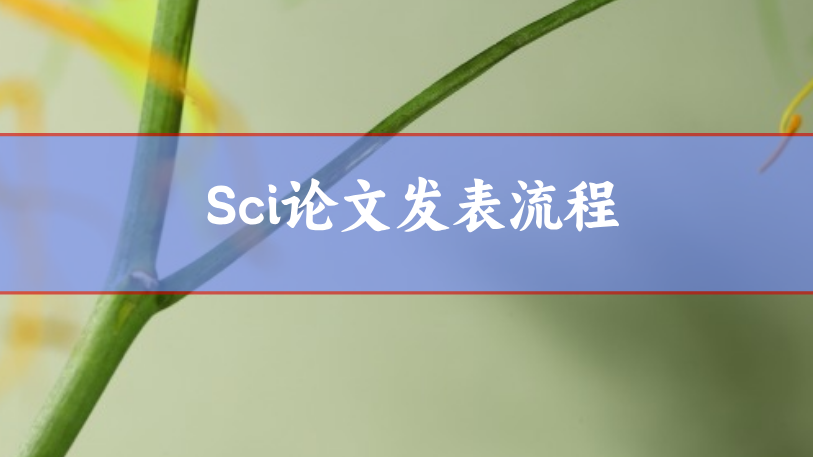 sci論文發(fā)表流程