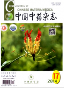建立高血壓病辨證分型規范化標準